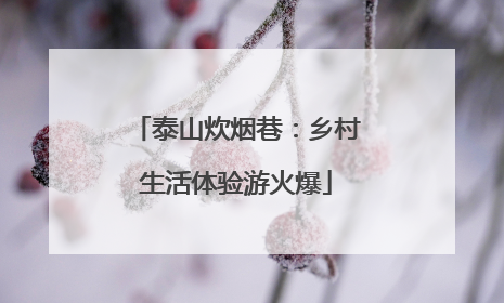 泰山炊烟巷：乡村生活体验游火爆