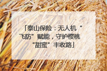 泰山保险：无人机“飞防”赋能，守护樱桃“甜蜜”丰收路
