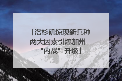 洛杉矶惊现新兵种 两大因素引爆加州“内战”升级