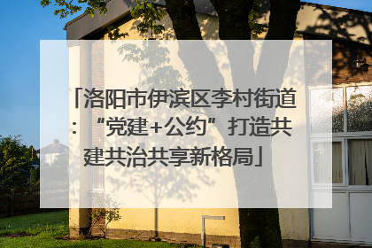 洛阳市伊滨区李村街道：“党建+公约”打造共建共治共享新格局