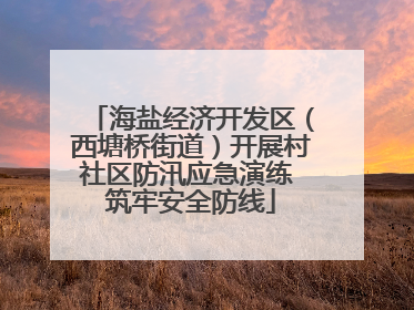 海盐经济开发区（西塘桥街道）开展村社区防汛应急演练 筑牢安全防线
