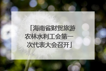 海南省财贸旅游农林水利工会第一次代表大会召开