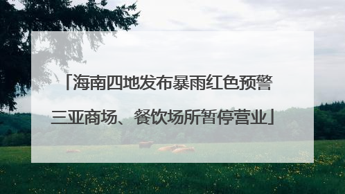 海南四地发布暴雨红色预警 三亚商场、餐饮场所暂停营业