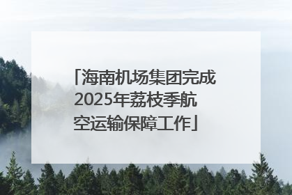 海南机场集团完成2025年荔枝季航空运输保障工作