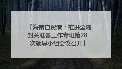 海南自贸港：推进全岛封关准备工作专班第28次领导小组会议召开