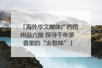 海外华文媒体广西梧州品六堡 探寻千年茶香里的“乡愁味”