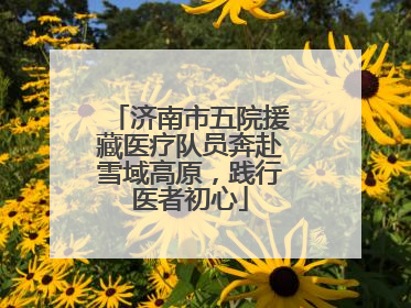 济南市五院援藏医疗队员奔赴雪域高原，践行医者初心