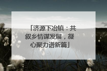 济源下冶镇：共叙乡情谋发展，凝心聚力谱新篇
