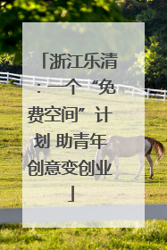 浙江乐清：一个“免费空间”计划 助青年创意变创业