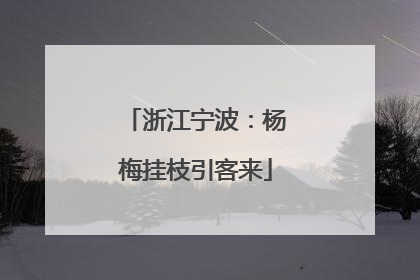 浙江宁波：杨梅挂枝引客来