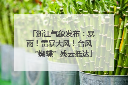 浙江气象发布：暴雨！雷暴大风！台风“蝴蝶”残云抵达