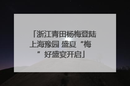 浙江青田杨梅登陆上海豫园 盛夏“梅”好盛宴开启