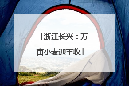浙江长兴：万亩小麦迎丰收