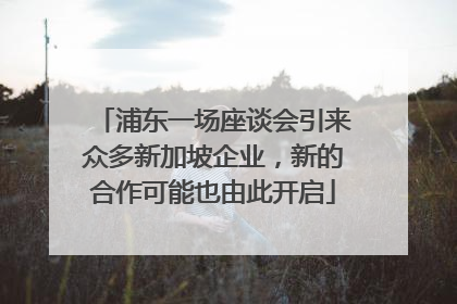 浦东一场座谈会引来众多新加坡企业，新的合作可能也由此开启