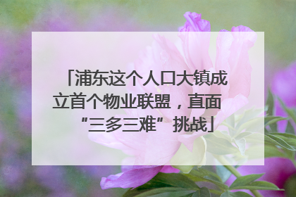 浦东这个人口大镇成立首个物业联盟，直面“三多三难”挑战
