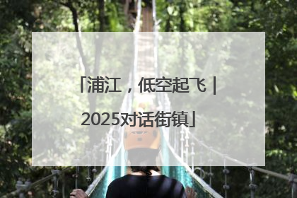 浦江，低空起飞｜2025对话街镇