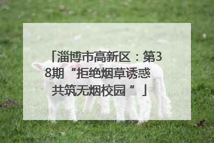 淄博市高新区：第38期“拒绝烟草诱惑 共筑无烟校园 ”