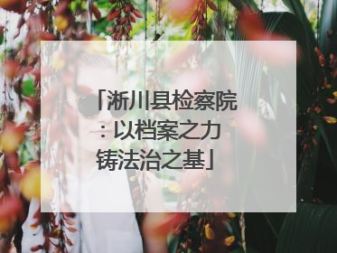 淅川县检察院：以档案之力 铸法治之基