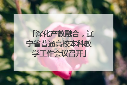深化产教融合，辽宁省普通高校本科教学工作会议召开