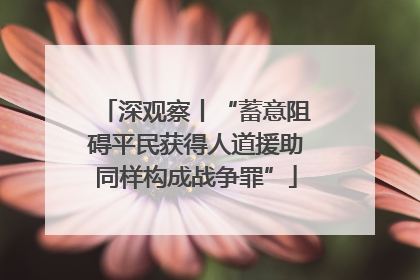 深观察丨“蓄意阻碍平民获得人道援助同样构成战争罪”