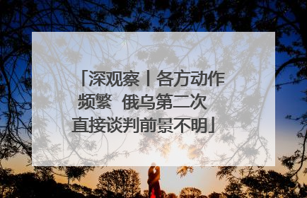 深观察丨各方动作频繁  俄乌第二次直接谈判前景不明