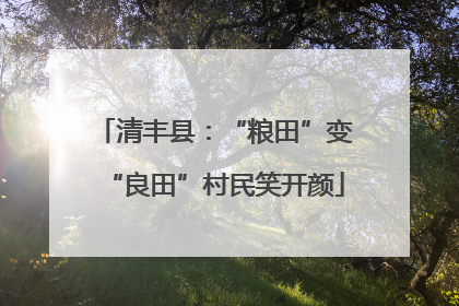 清丰县：“粮田”变“良田”村民笑开颜