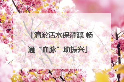 清淤活水保灌溉 畅通“血脉”助振兴