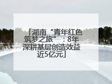 湖南“青年红色筑梦之旅”：8年深耕基层创造效益近5亿元