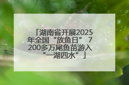 湖南省开展2025年全国“放鱼日” 7200多万尾鱼苗游入“一湖四水”