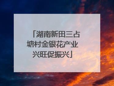 湖南新田三占塘村金银花产业兴旺促振兴