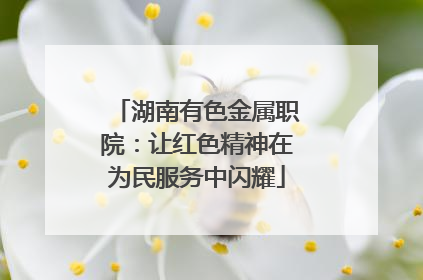 湖南有色金属职院：让红色精神在为民服务中闪耀