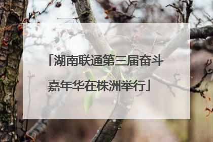 湖南联通第三届奋斗嘉年华在株洲举行