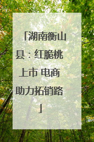 湖南衡山县：红脆桃上市 电商助力拓销路
