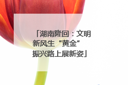 湖南隆回：文明新风生“黄金” 振兴路上展新姿