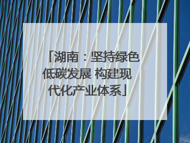 湖南：坚持绿色低碳发展 构建现代化产业体系