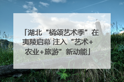 湖北“橘颂艺术季”在夷陵启幕 注入“艺术+农业+旅游”新动能