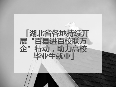 湖北省各地持续开展“百县进百校联万企”行动，助力高校毕业生就业