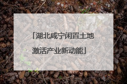 湖北咸宁闲置土地激活产业新动能
