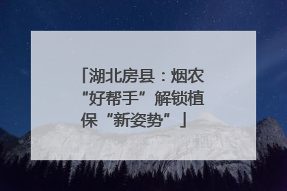 湖北房县：烟农“好帮手”解锁植保“新姿势”