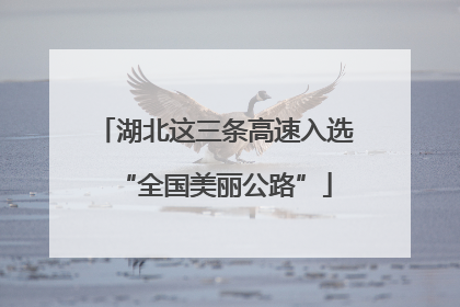 湖北这三条高速入选“全国美丽公路”