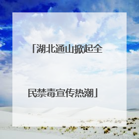湖北通山掀起全民禁毒宣传热潮