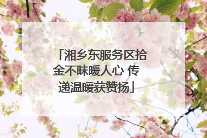 湘乡东服务区拾金不昧暖人心 传递温暖获赞扬