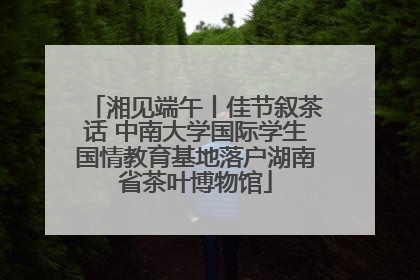 湘见端午丨佳节叙茶话 中南大学国际学生国情教育基地落户湖南省茶叶博物馆