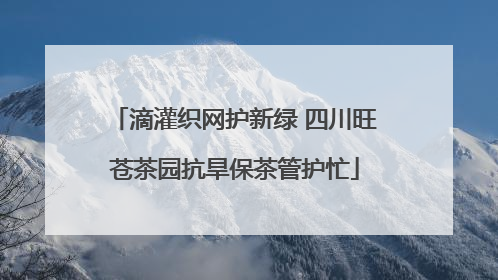 滴灌织网护新绿 四川旺苍茶园抗旱保茶管护忙