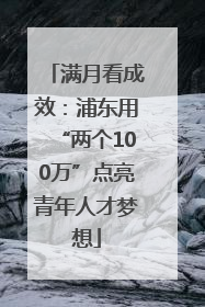 满月看成效：浦东用“两个100万”点亮青年人才梦想