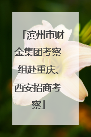 滨州市财金集团考察组赴重庆、西安招商考察