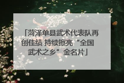 菏泽单县武术代表队再创佳绩 持续擦亮“全国武术之乡”金名片