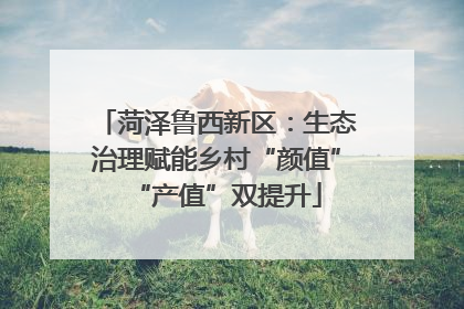 菏泽鲁西新区：生态治理赋能乡村“颜值”“产值”双提升