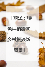 菏泽：特色种植绘就乡村振兴新图景