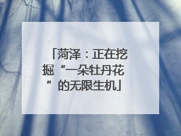 菏泽：正在挖掘“一朵牡丹花”的无限生机